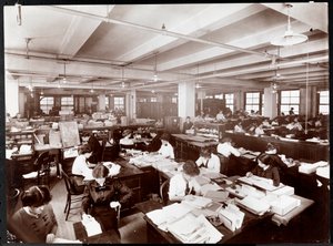 Men and women working at desks in an office at McCall